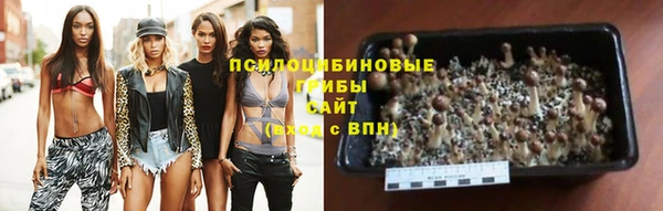 соль курить ск Лагань