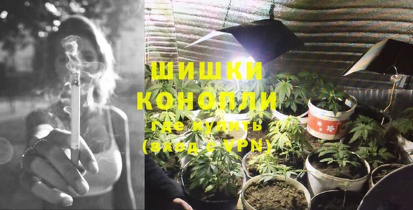 дмт Ладушкин