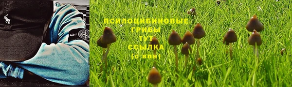 дмт Ладушкин