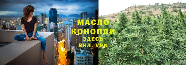 дмт Ладушкин