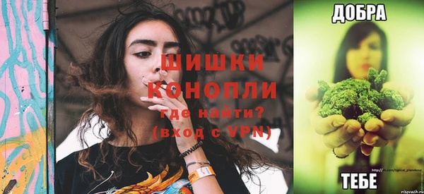 дмт Ладушкин